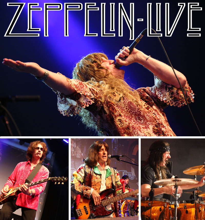 Zeppelin Live 408-483-5838
